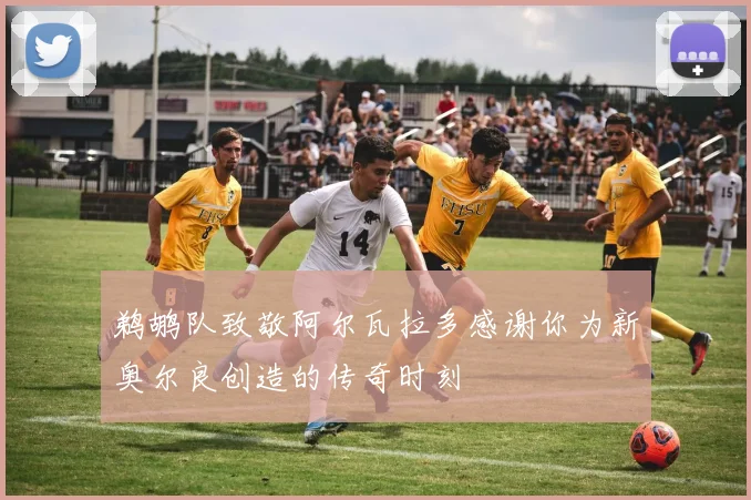 鹈鹕队致敬阿尔瓦拉多感谢你为新奥尔良创造的传奇时刻