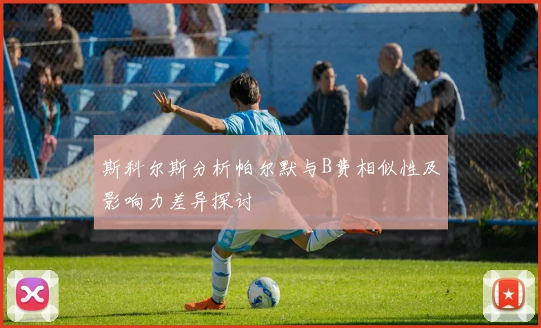 斯科尔斯分析帕尔默与B费相似性及影响力差异探讨