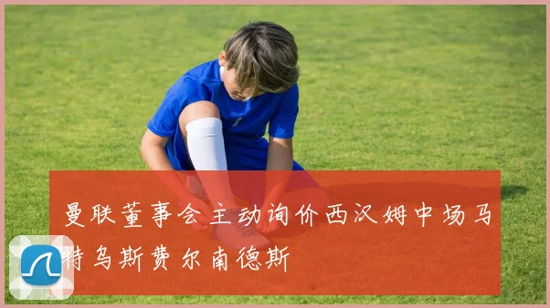 曼联董事会主动询价西汉姆中场马特乌斯费尔南德斯